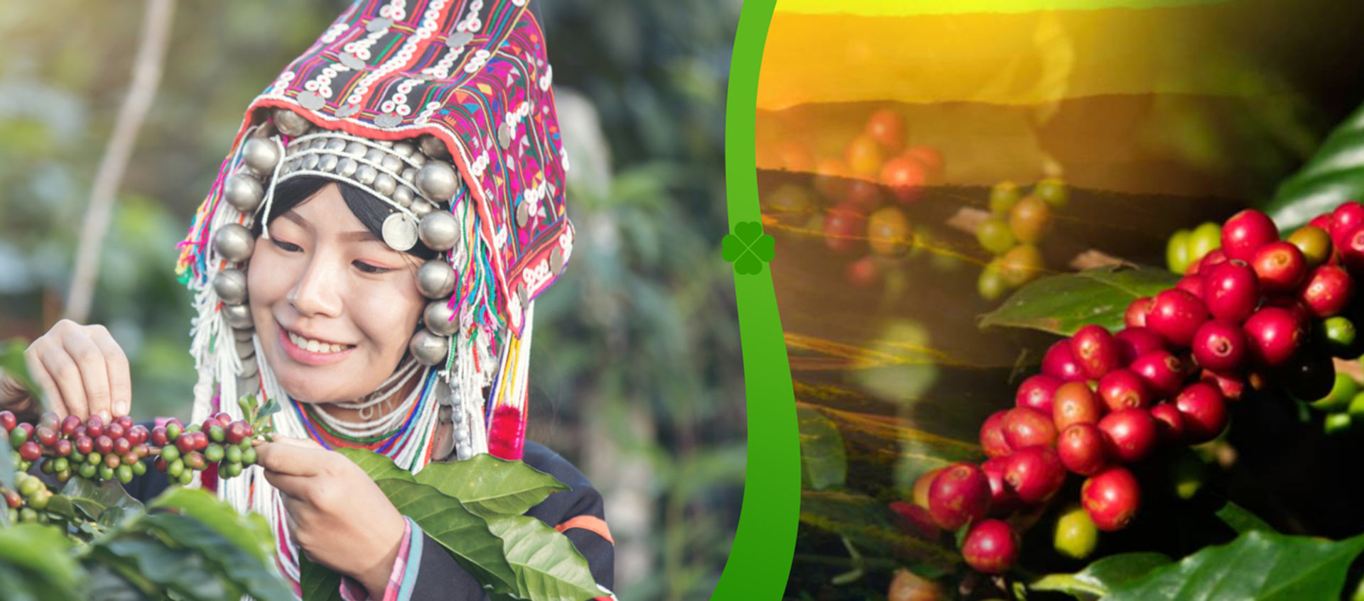 Organic Coffee, Shop healthy, Live well, Earn Carbon Credit Point, naturefoodgoodlife.com