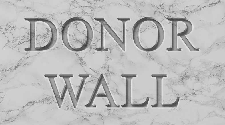 donor-wall-marble_Quantum Biology.jpeg