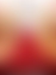 Saigo ni Hitotsu dake Onegai shitemo Yoroshii deshou ka