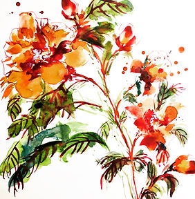 Flores 3