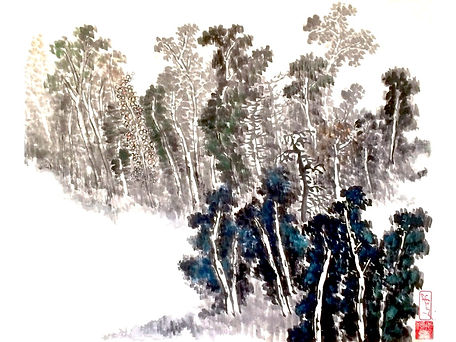 ‎FOTOS PINTURAS KAIFENG_edited.jpg