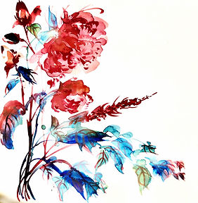 Flores 5