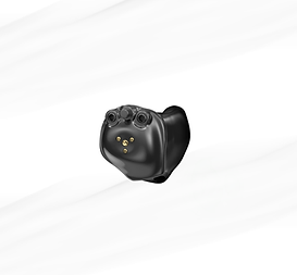 2024-04-19 08_34_57-J__Kim_Projects_Hearing Aid Project_HA Images_Custom_2024-04-19 08_15_