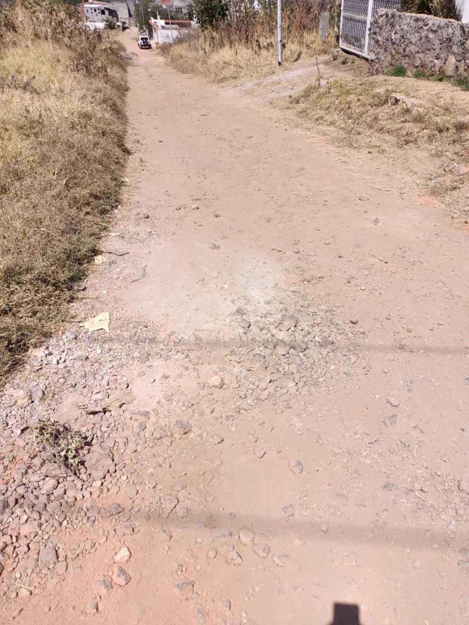 487556995_1431756084472048_1710620183730010997_n