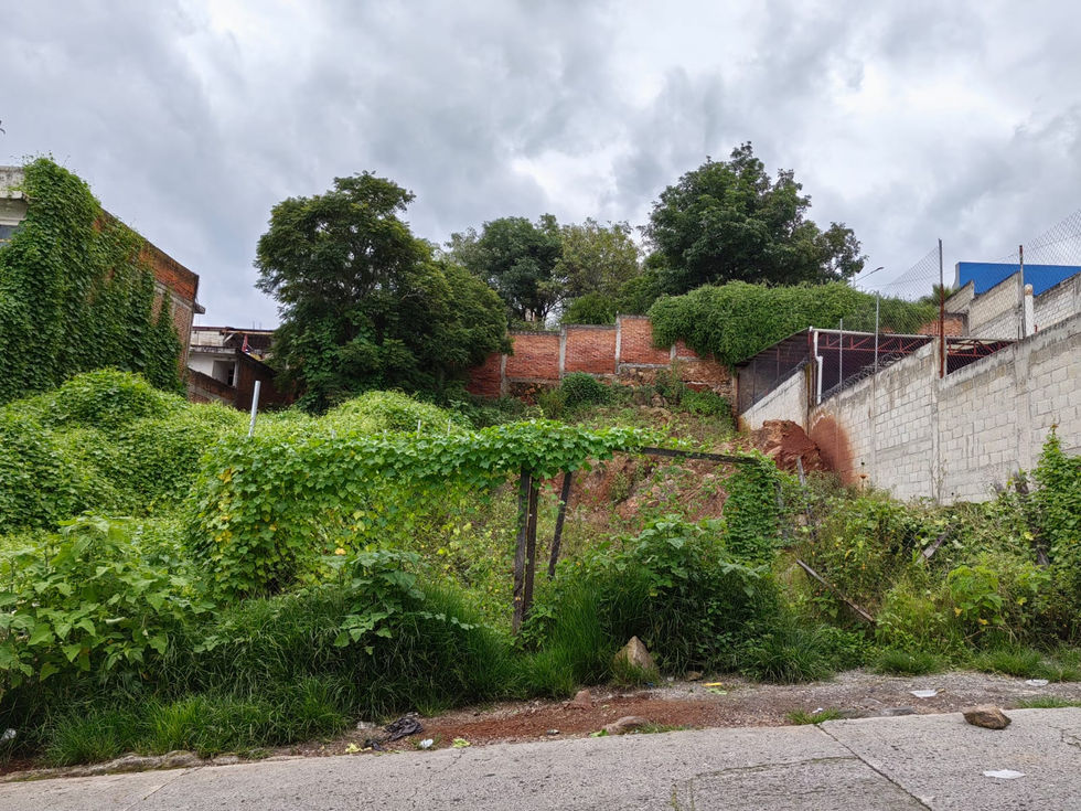 477719809_1397743821206608_4255611038002696476_n