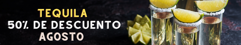 Copia de formato sladies pagina web ofir .png