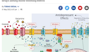 New Mechanism for Ketamine!