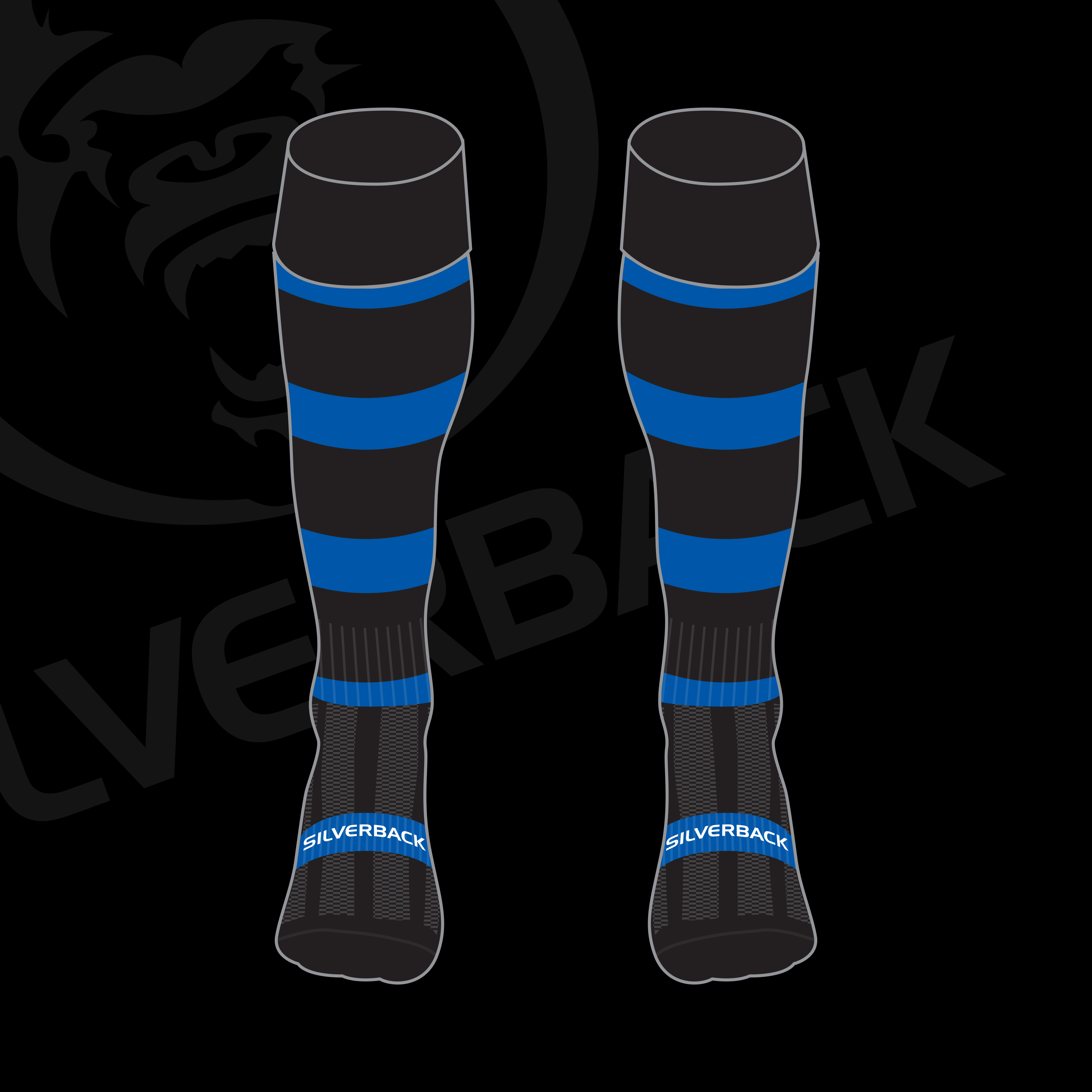 Long Eaton RFC Club Sock