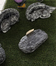Pet Memorials
