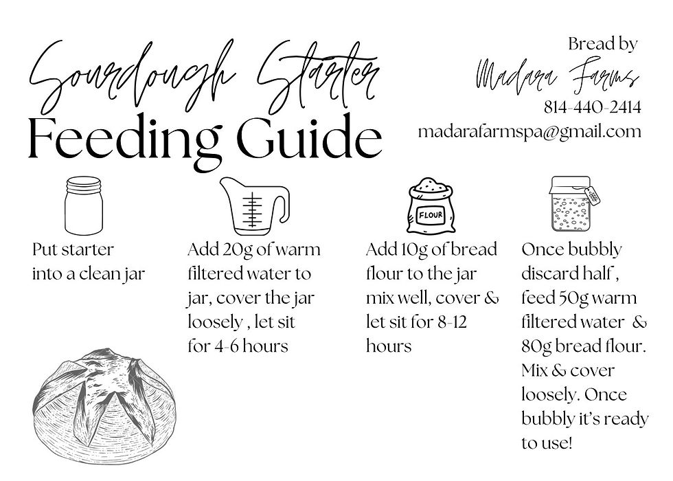 How to Rehydrate Your Dehydrated Sourdough Starter