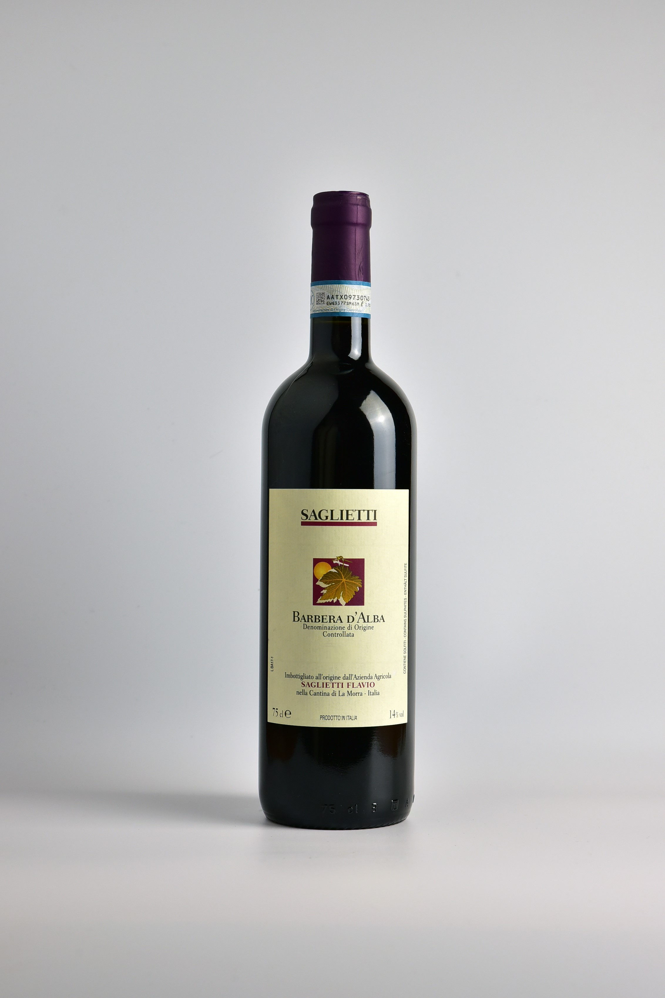 Barbera d’Alba DOC 2023 | Saglietti Flavio