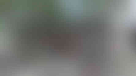 IMG-20201110-WA0029