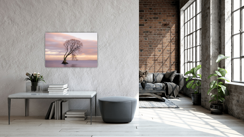 Thumbnail: View of the Taupo Tree image placed behind an entry table.
