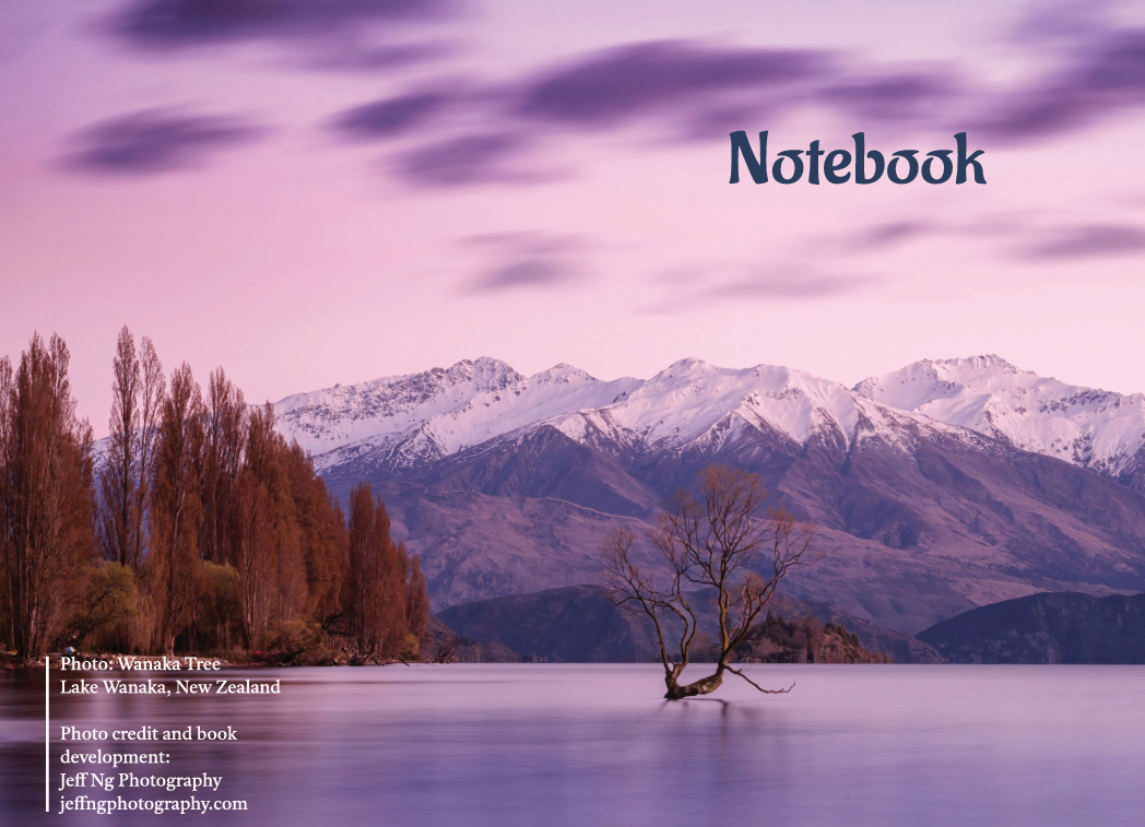 Cover image of book with Wanaka Tree with calming purple tones and some clouds