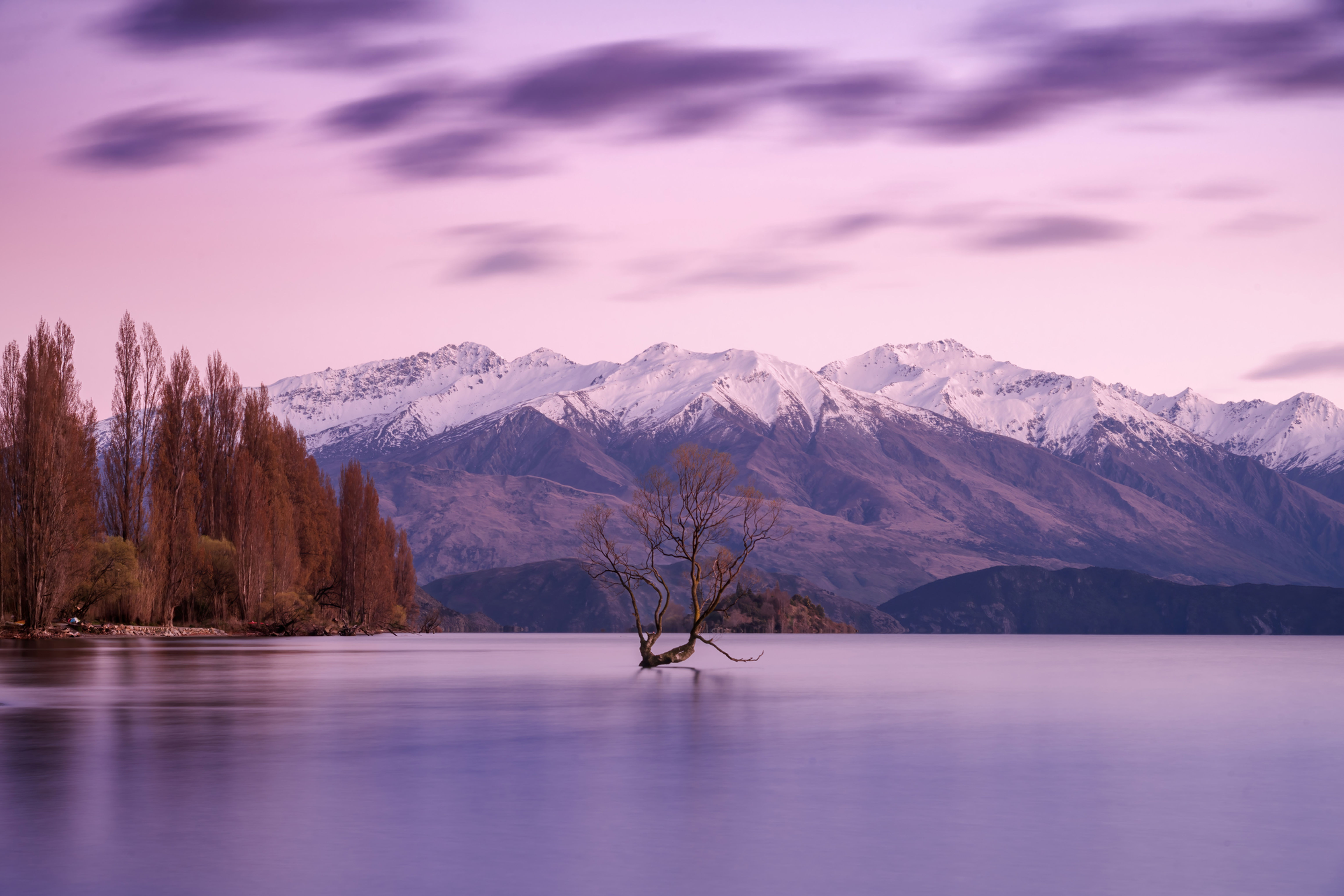The famous Wanaka Tree with gorgeous snow capped mountains at Lake Wanaka.
