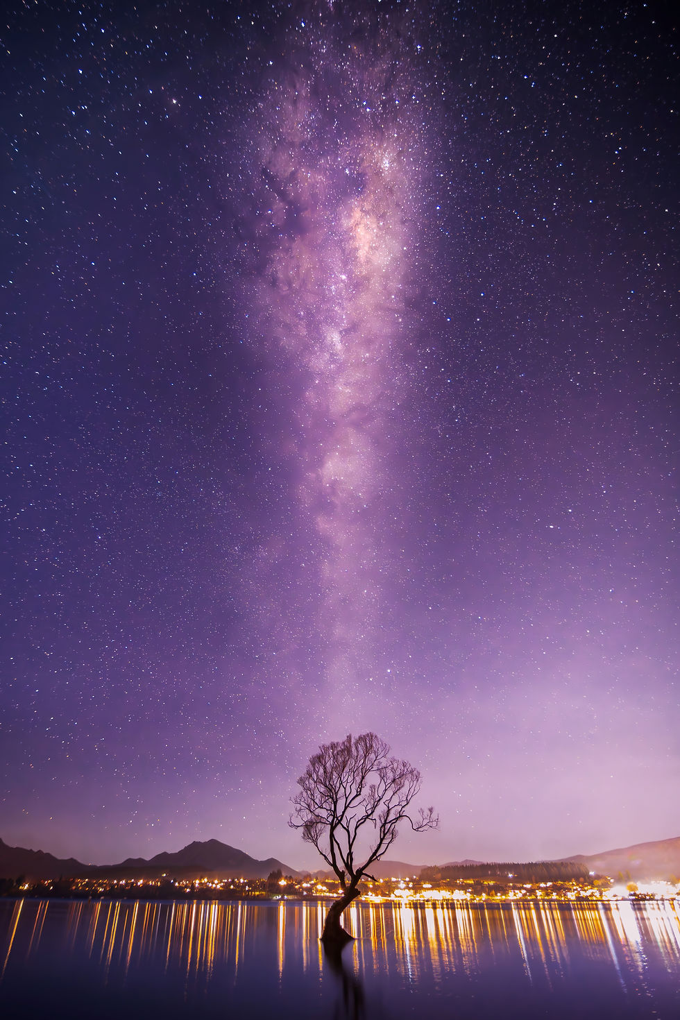 The famous Wanaka Tree at night with the glorious Milky Way up above.