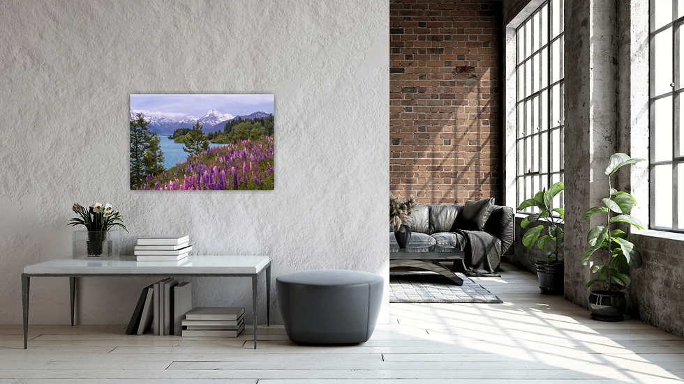Thumbnail: View of the lupin image placed behind an entry table.