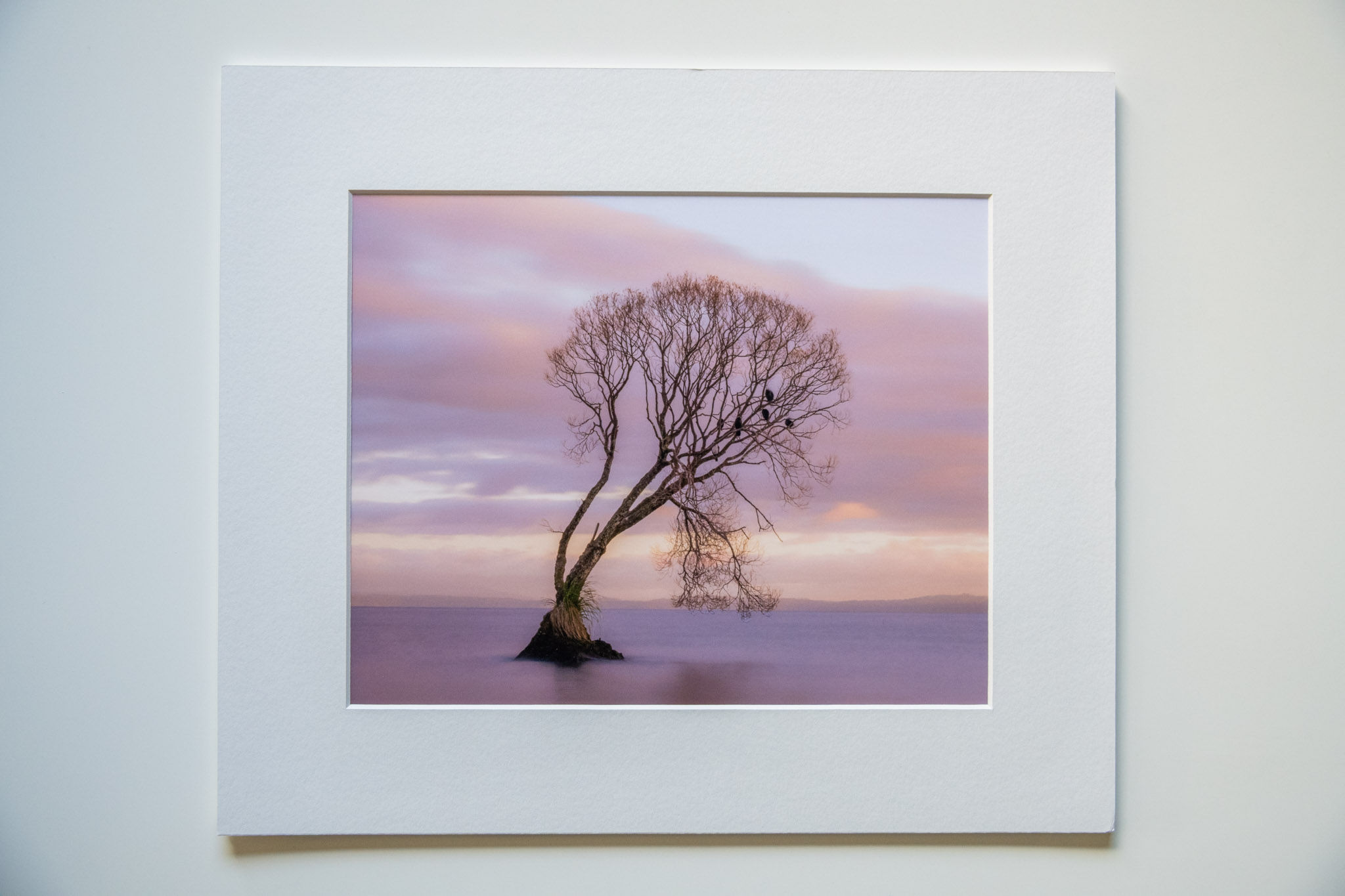 Example framed image of Taupo Tree, Lake Taupo.