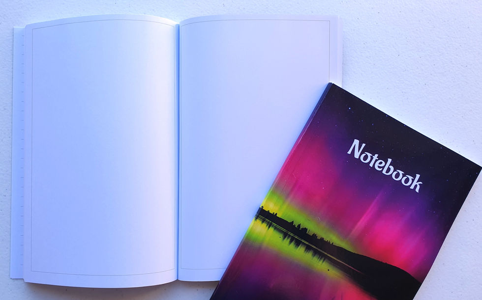 Image of blank pages at back of notebook