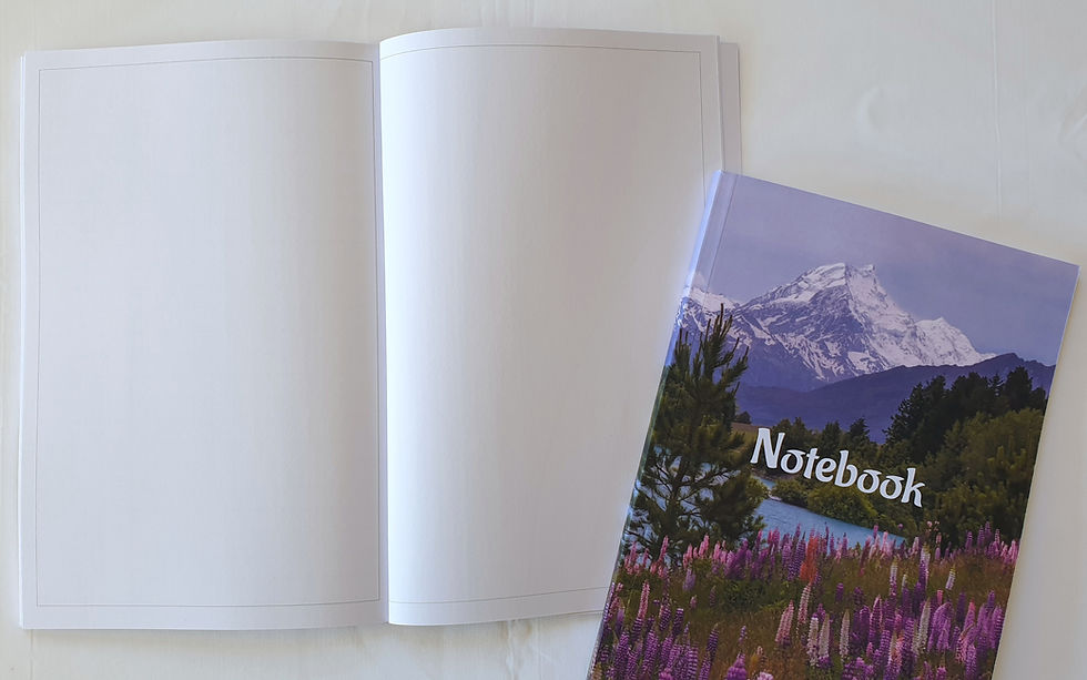Thumbnail: Image of blank pages at back of notebook