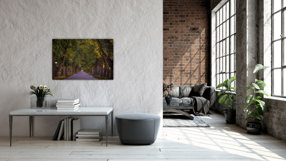 View of the Oak Avenue trees image placed behind an entry table.