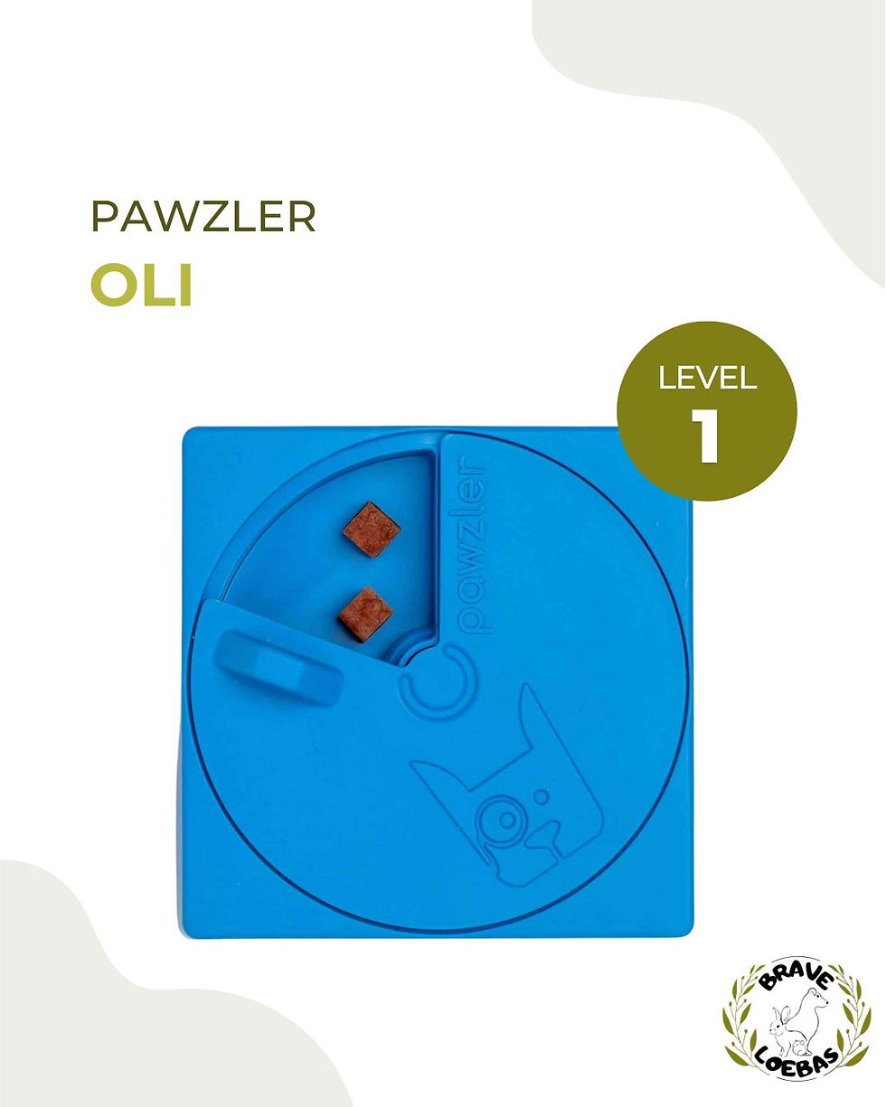 Thumbnail: Pawzler: modules