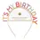 Thumbnail: Gold “It’s My Birthday” Headband