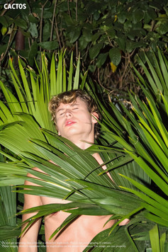 henrique_2015.jpeg