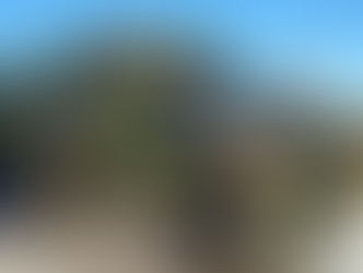 M934 900 Series 5 Ton- Picked Up