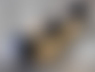 Rebuilt GM 14 Bolt Rear Axle- Shipped