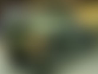 M927A2 900 Series 5 Ton- Shipped