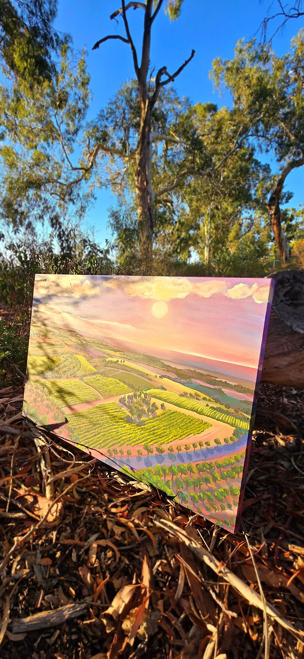 Thumbnail: The Light that Waited for Us