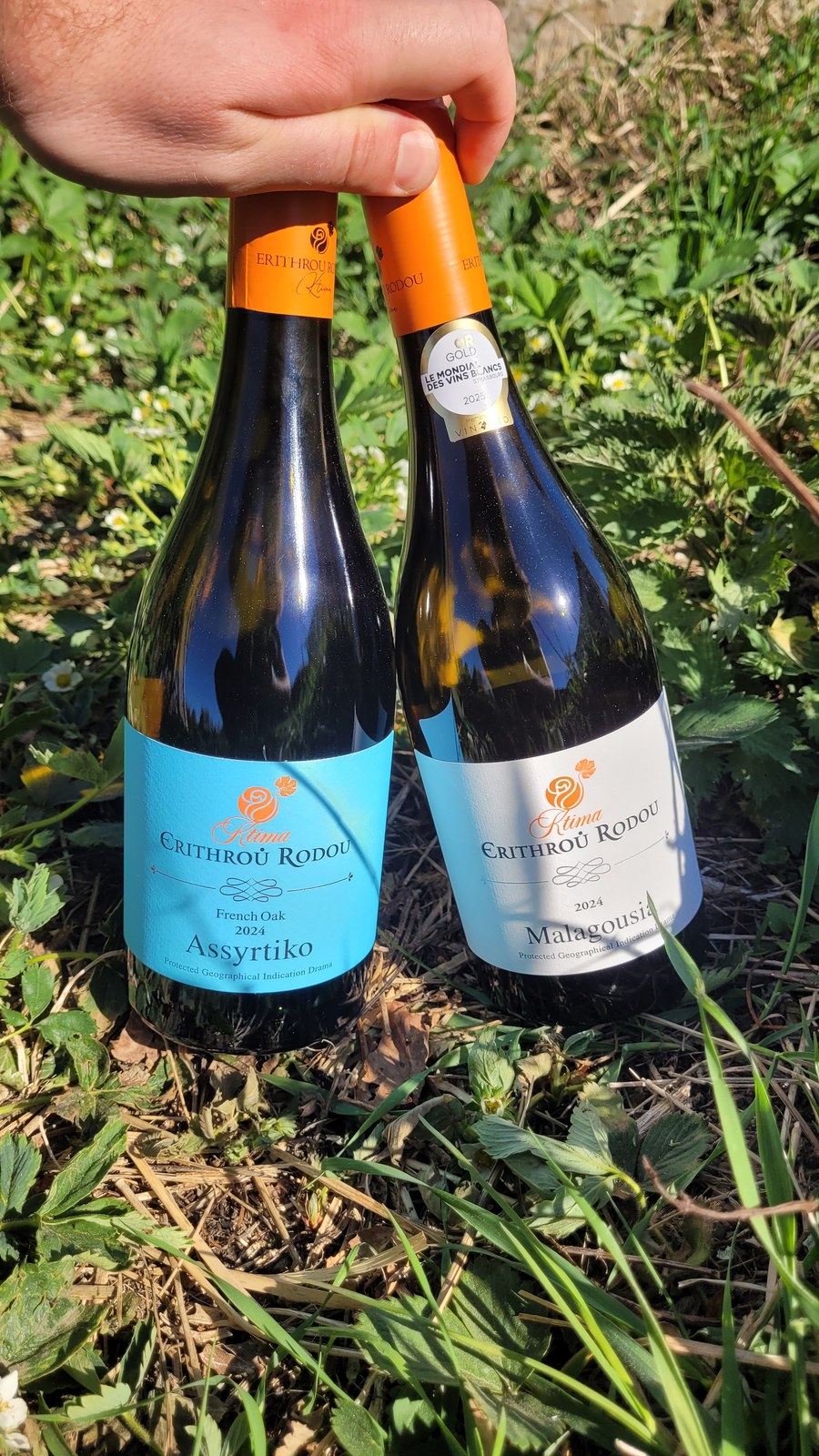 Two bottles from Ktima Erithrou Rodou in the grass: Malagousia 2024 and Assyrtiko French Oak 2024
