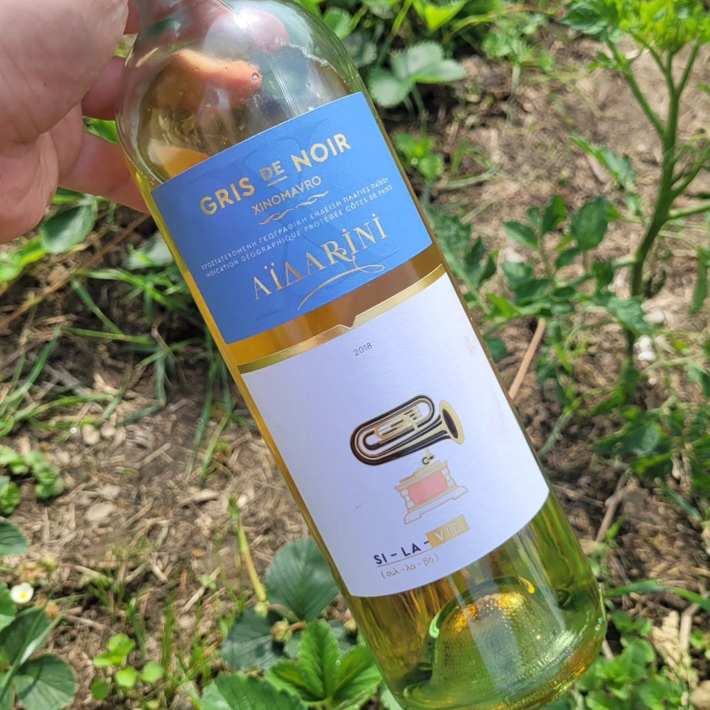 Bottle of Aidarini SI-LA-VIE Gris de Noir 2018, label reading Gris de Noir Xinomavro