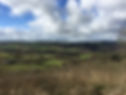 landscape.jpg