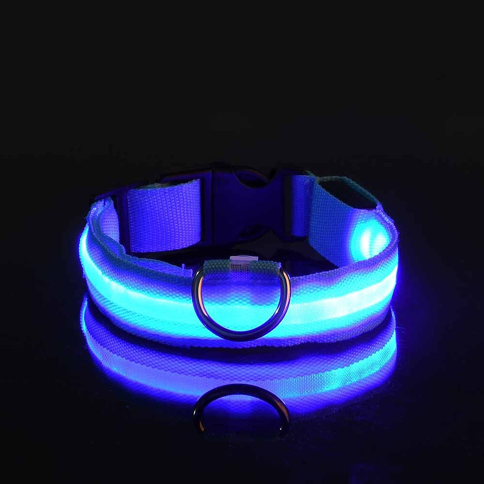 Thumbnail: SafeGlow™ Pet Collar