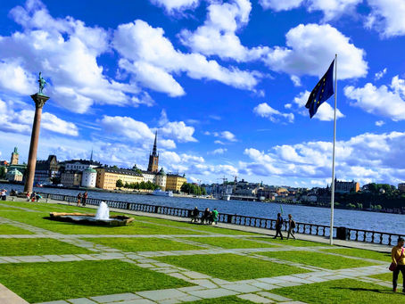 My Scandinavian Summer