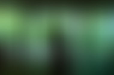 🌿 森のウェディング、はじまります。