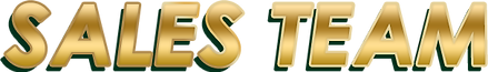 sales team.png