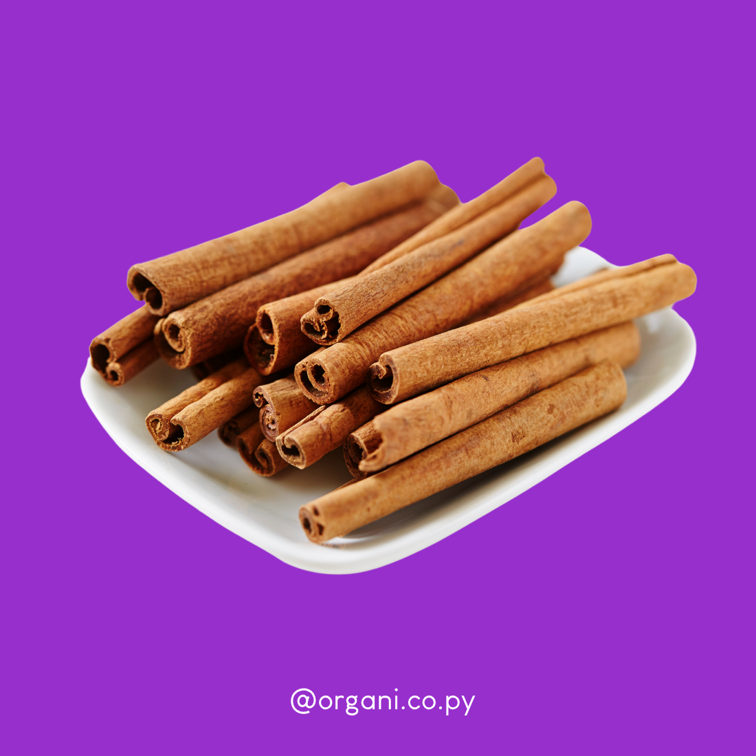 Canela en rama cassia
