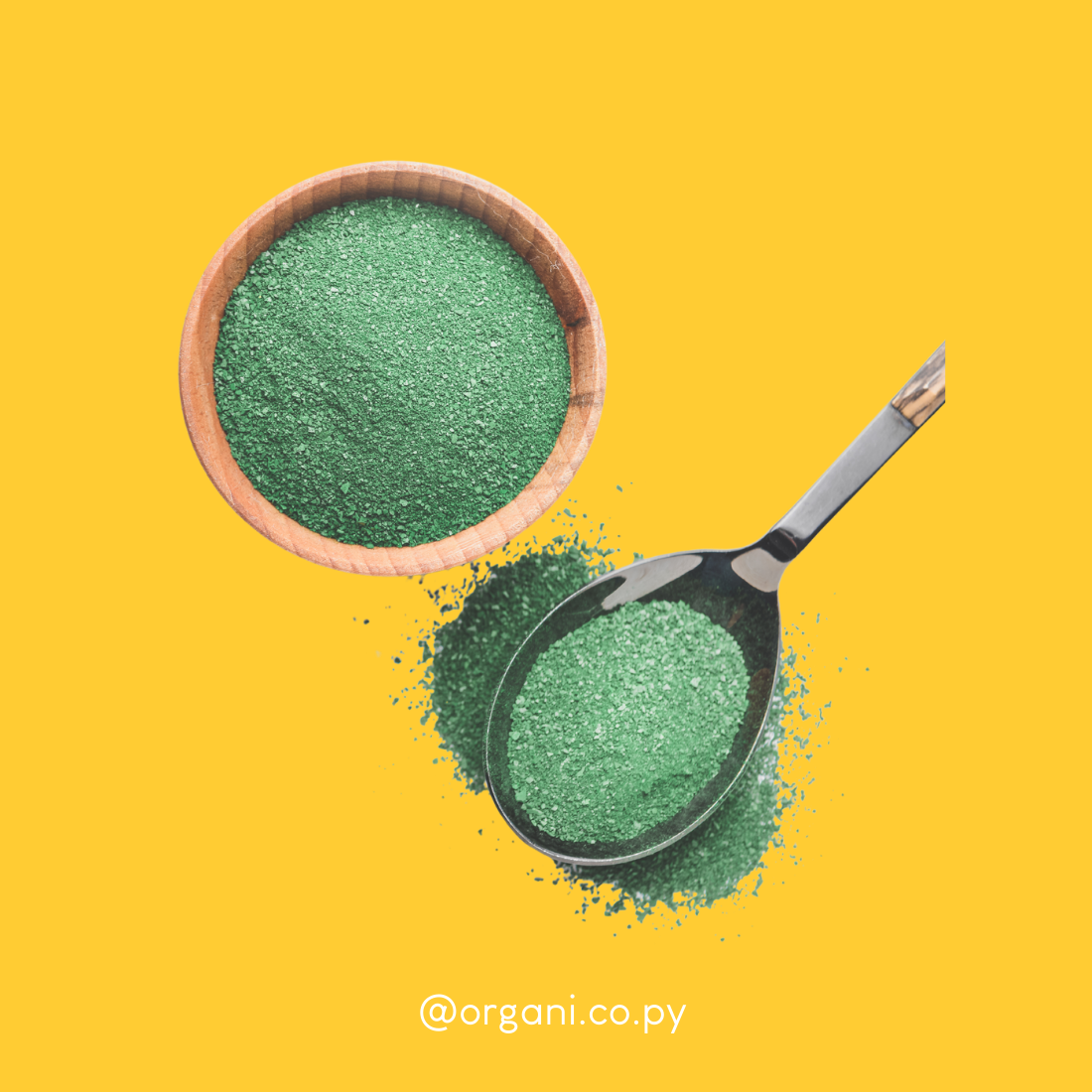 Spirulina en polvo
