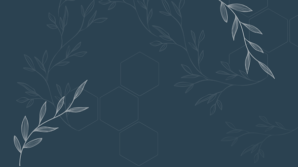 Hair Lab Header.png
