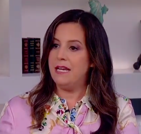 Stefanik promises transparency in 'Biden Family Crime Saga': 'disgusting, although not surprising'