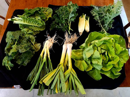 Bounty Boxes are back