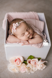 Lansing, Michigan newborn photographer