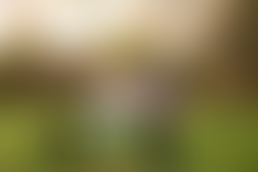 Metro Detroit Michigan Newborn Photographer