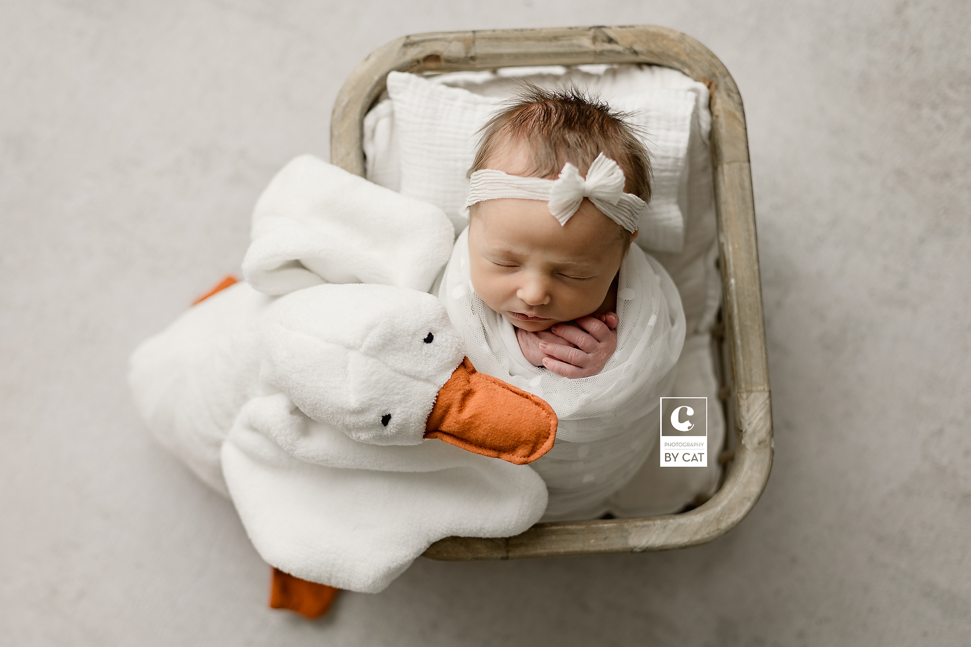 Lansing, Michigan newborn photographer