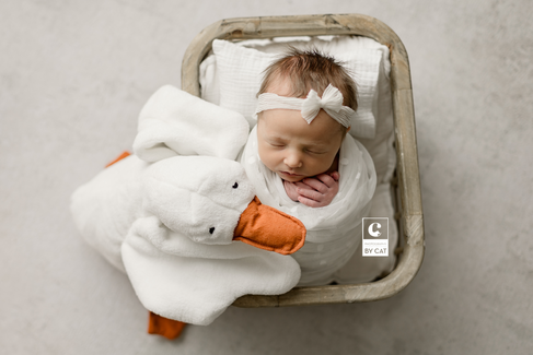 Lansing, Michigan newborn photographer