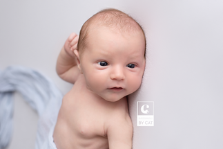Okemos, Michigan Newborn Photographer