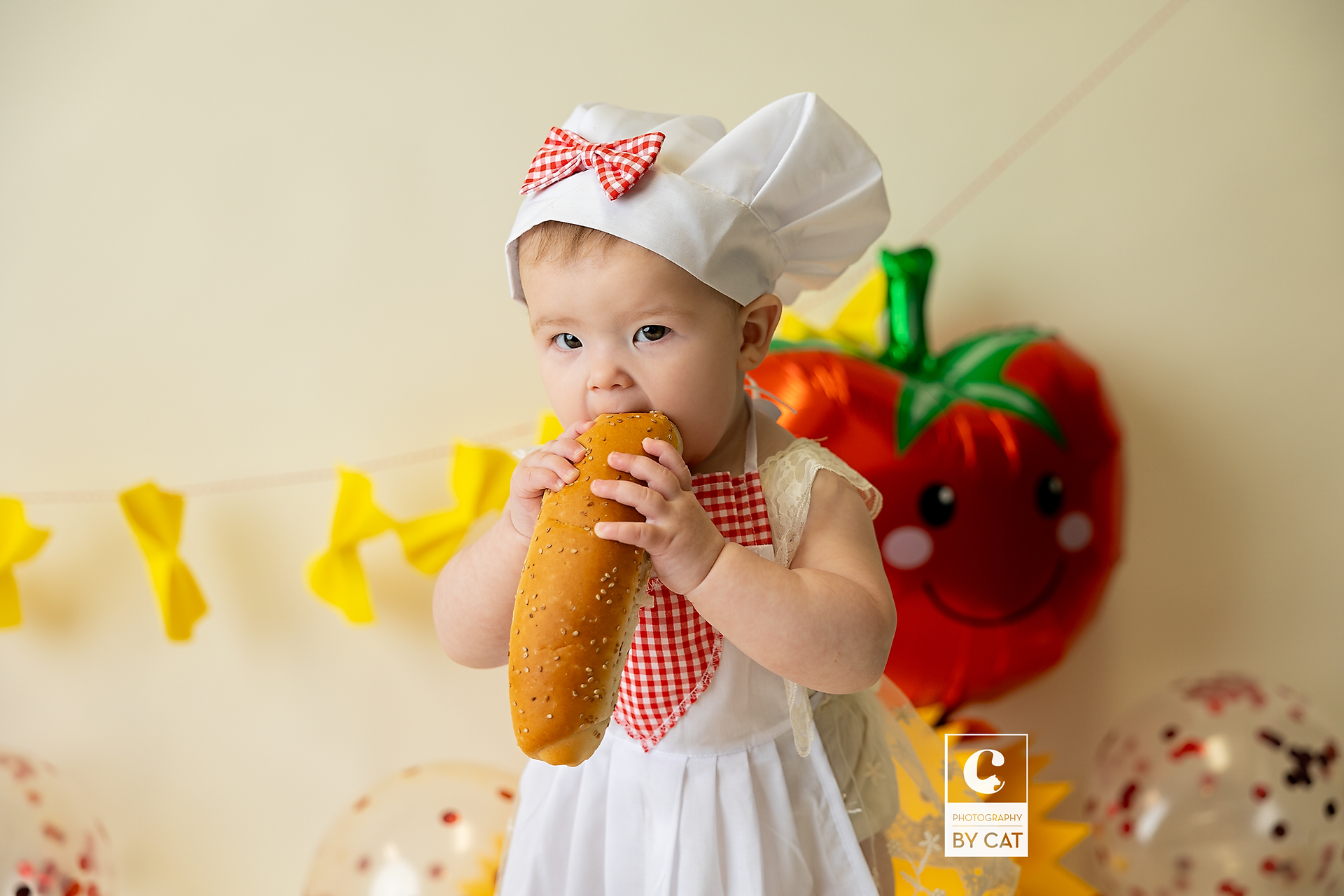Lansing, Michigan cake smash photographer